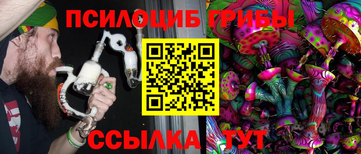 Элиста  Псилоцибиновые грибы Cubensis  Вход с VPN 