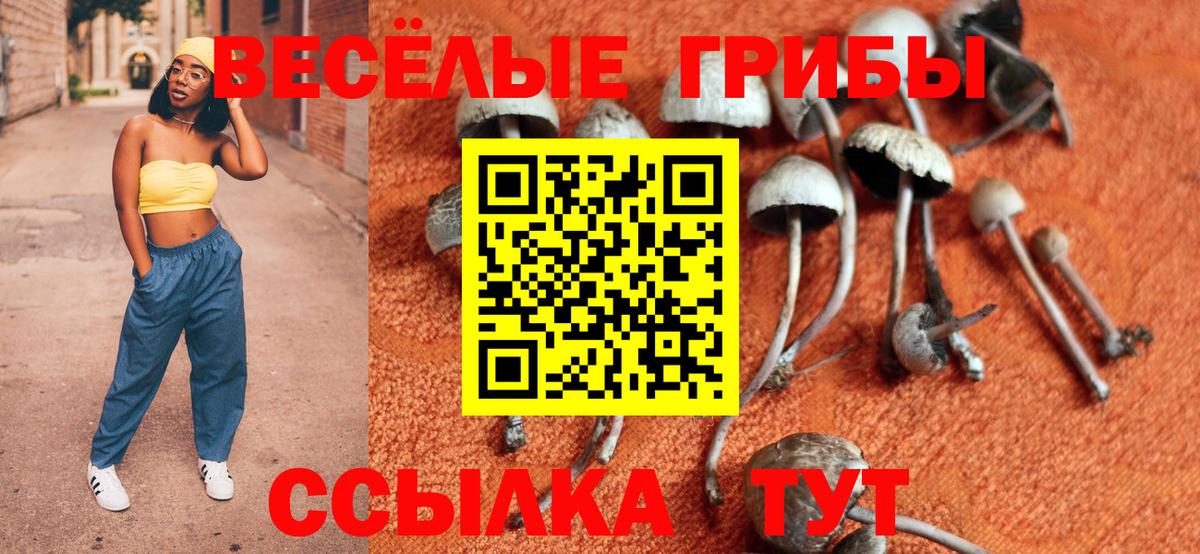 Псилоцибиновые грибы MAGIC MUSHROOMS Элиста